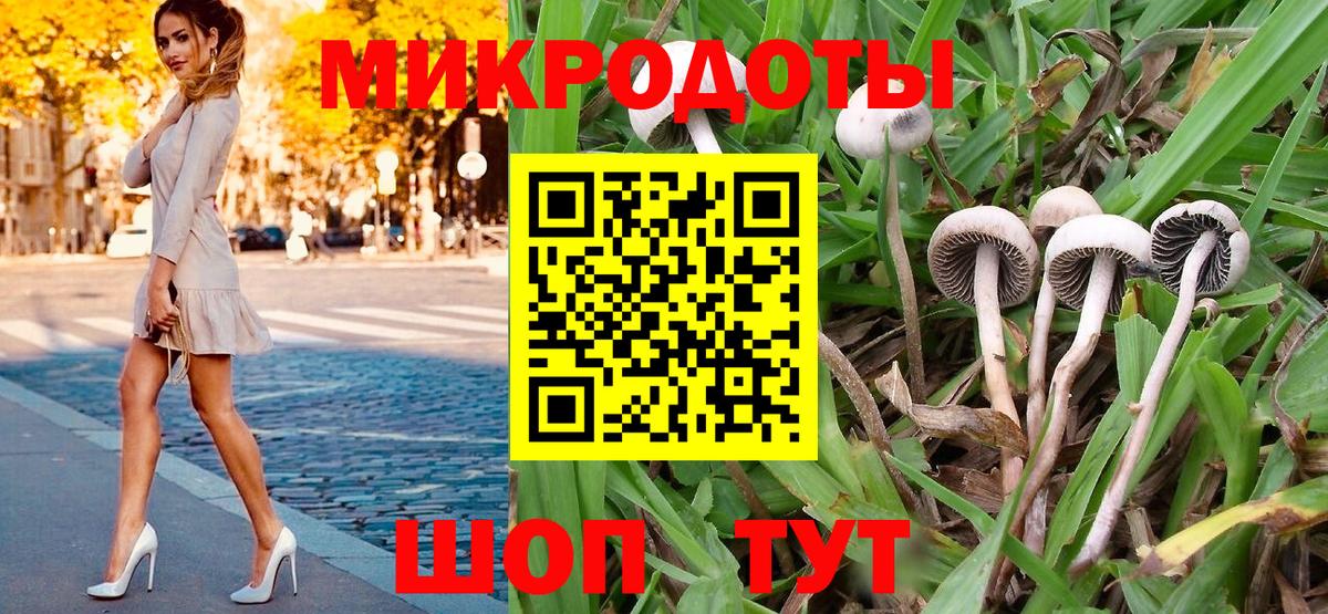 Псилоцибиновые грибы GOLDEN TEACHER  Вход с VPN  сколько стоит  Ярославль 