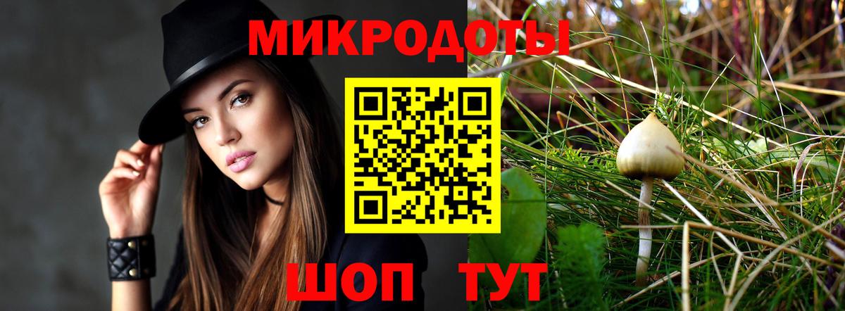 Псилоцибиновые грибы Psilocybe Ярославль